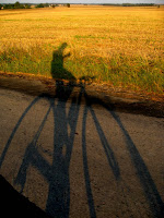 cień Photo