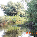 DSCN4582.JPG