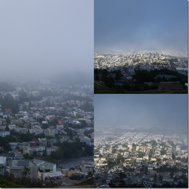 Fog Collage