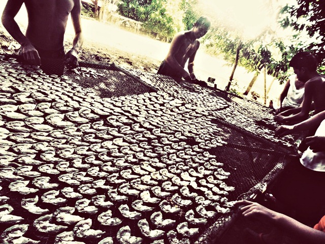 [livelihood%255B5%255D.jpg]