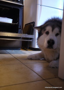 Munson guarding the kitchen triangle