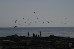 877-7777_IMG.JPG
