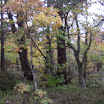 IMGP5429.JPG