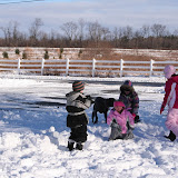 2010-12-27 Snow - IMG_3615.JPG
