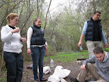Paste2010Baneasa 006.jpg