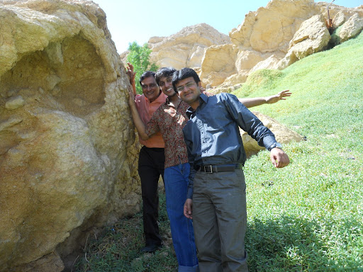 Sonal Msr