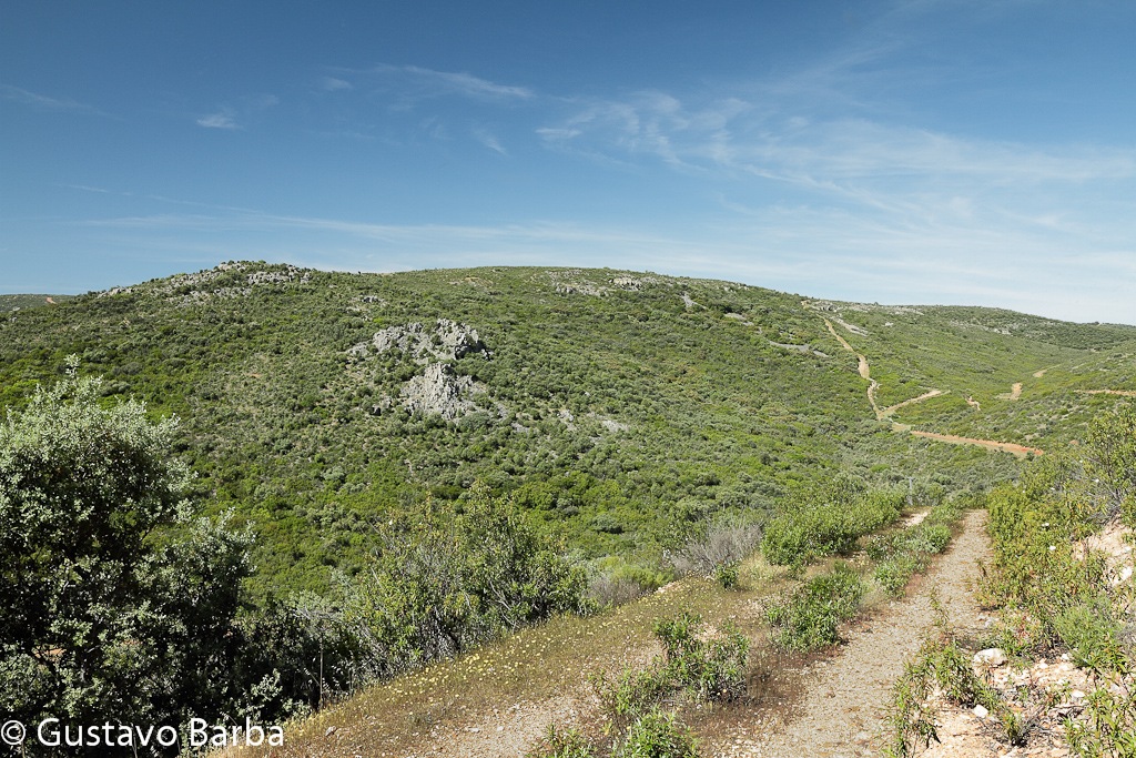 [IMG_5619%255B3%255D.jpg]