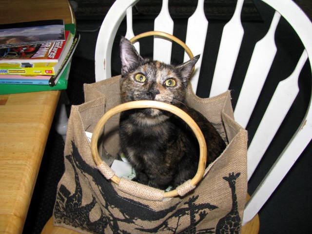 [IMG_0095%255B2%255D.jpg]