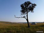 Masai Mara