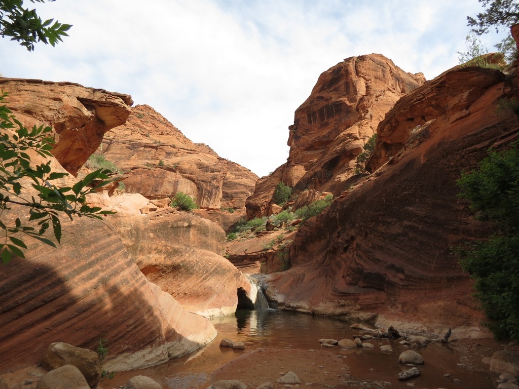 [zion_red_can_1st_waterfall3.jpg]