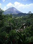 El bosque