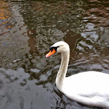 2013-03-19-20-31-17-66_1024x768.JPG