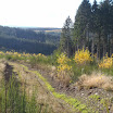 PB110038.jpg