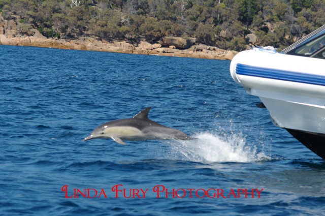 [Cruise%2520050%255B3%255D.jpg]
