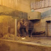 BP-20111111-zoo-037.jpg
