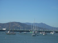 DSCN0231.JPG