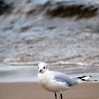 20100822_147_small.JPG