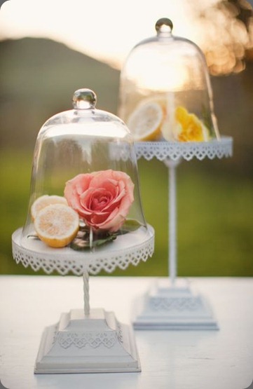 19 heavenly blooms and sweet and saucy