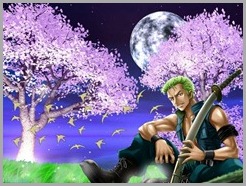 zoro_one_piece_wallpapers_images-download-one-piece-wallpaper.blogspot.com