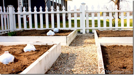 Sowing Seeds 1