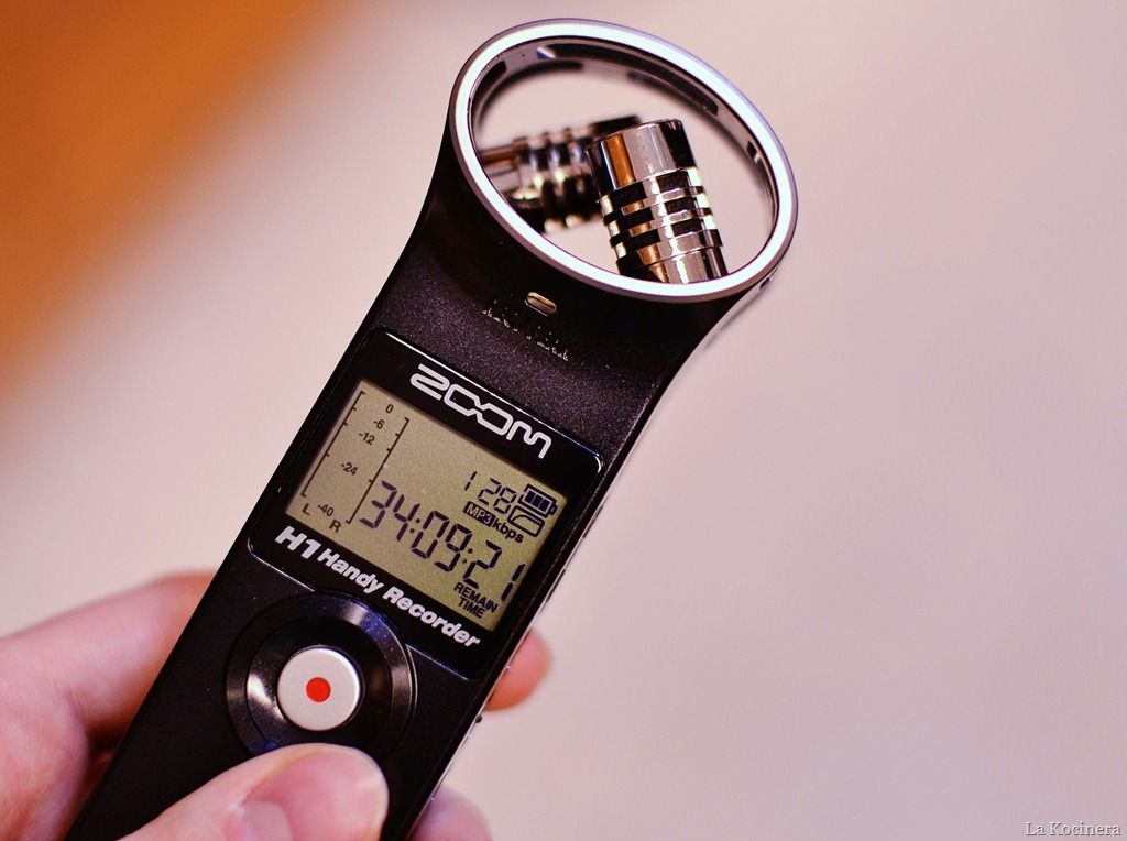[hand-recorder8.jpg]