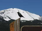 Diamond Lake, OR (17).JPG