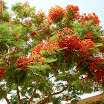 k-Eigene Bilder Jordan 2011 032.jpg