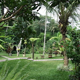 my Ubud flat surroundings