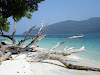  Koh Lipe Resimleri Fotoğrafları