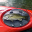 18.5 inch Smallmout Bass, Juniat River, Pennsylvania 18.5 inch Smallmout Bass, Juniat River, Pennsylvania