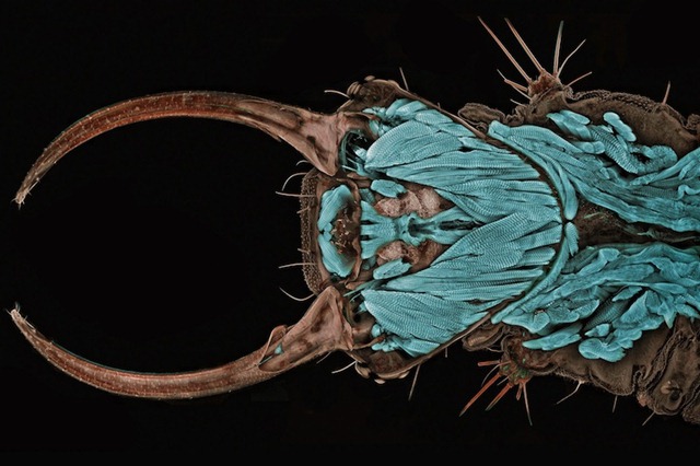img-ciencia 9 img-ciencia 9