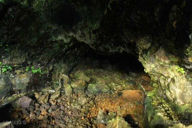 [IMG_4797%255B4%255D.jpg]