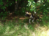 South Africa - 044.JPG