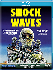shock shock
