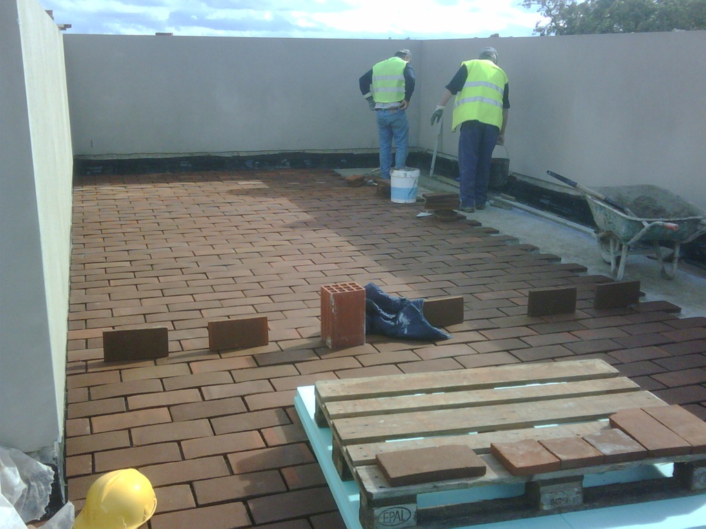 [IMG00869-20111111-1122%255B2%255D.jpg]