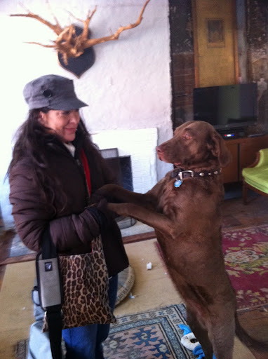 This is Emma, one of the Guest House's resident pooches!