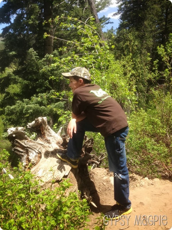 Little Man at Stewart Falls Gypsy Magpie