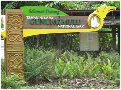 Gunun-Mulu-National-Park