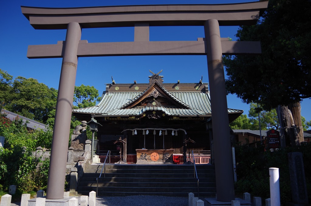 [IMGP06503.jpg]