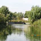 IMG_8050.JPG