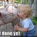 Funny kids orkut scraps kid kissing pig.jpg