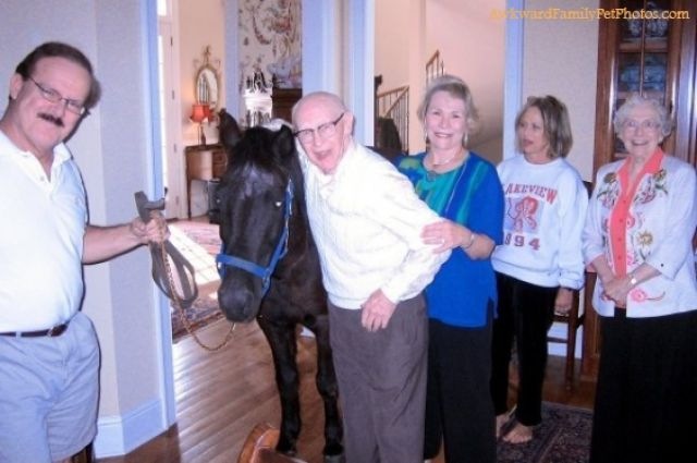 [awkward_family_photos_640_09%255B3%255D.jpg]