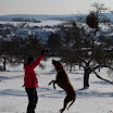 _MG_9532.jpg