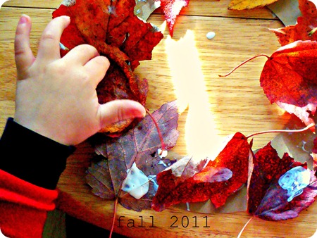 fall55