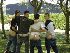 Bums-2015