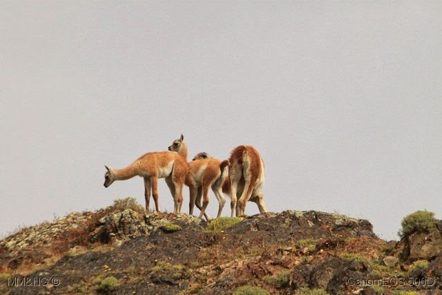 [IMG_5867%255B7%255D.jpg]