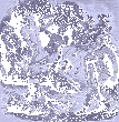 The Binding Of Fenrir