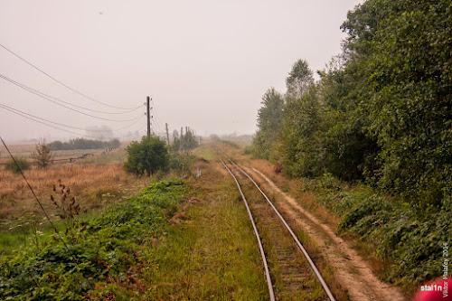 По дорозі на Поліське озеро