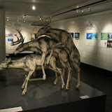 IMG_2460.JPG