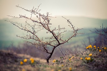 2013-04-20.jpg